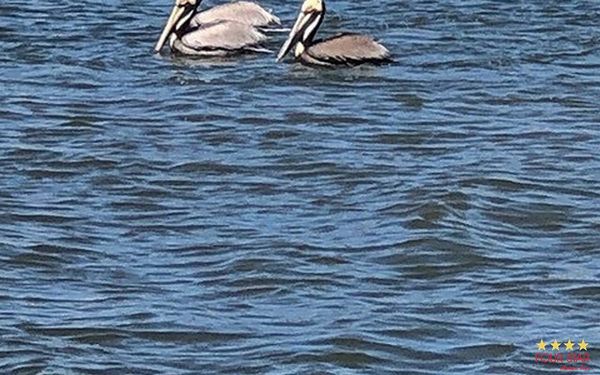 132 El Padre, Edgewater FL 32141