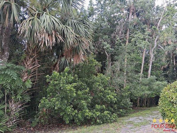 113 Habersham Dr, Flagler Beach FL 32136