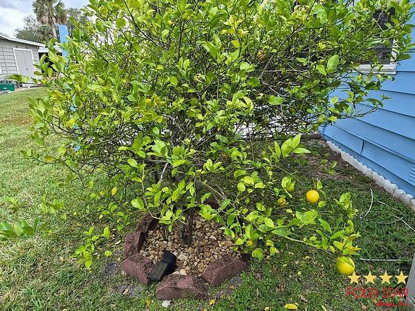 1209 La Flosita, Port Orange FL 32129