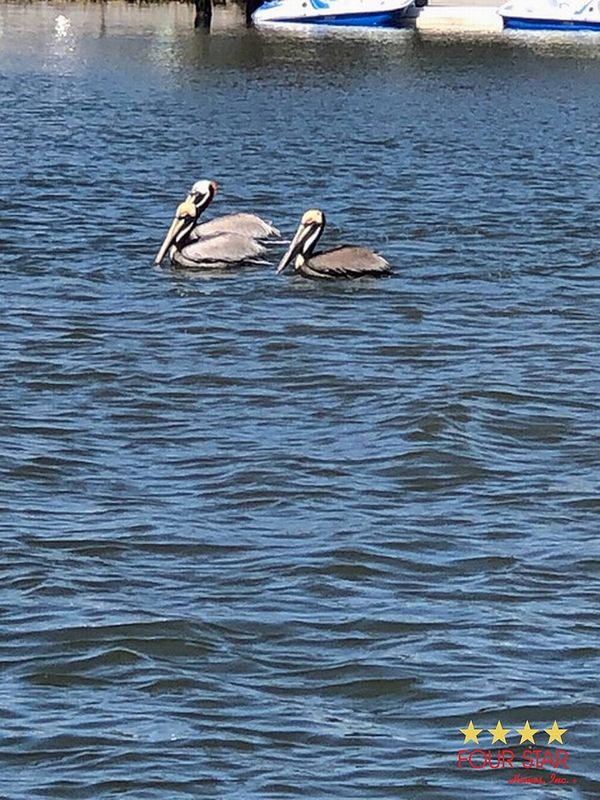 311 Rio Grande, Edgewater FL 32141