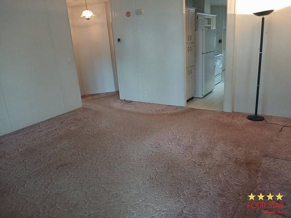 3120 TREE FROG, DeLand FL 32724