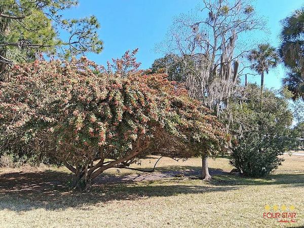 18 Morington Ln, Flagler Beach FL 32136