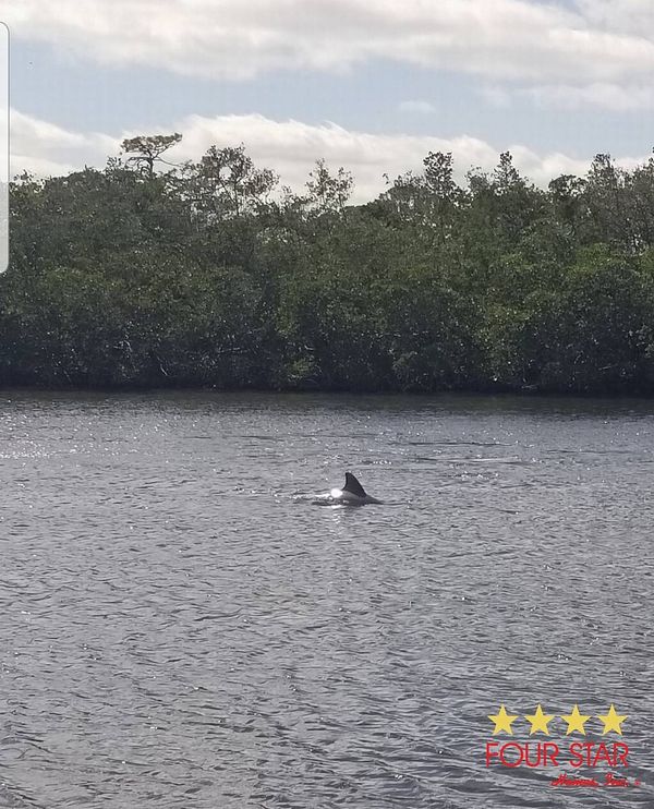 327 3rd St. Dr. W, Lot 31, Palmetto FL 34221