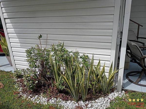 6417 NW 28th Ln, Lot 337, Margate FL 33063