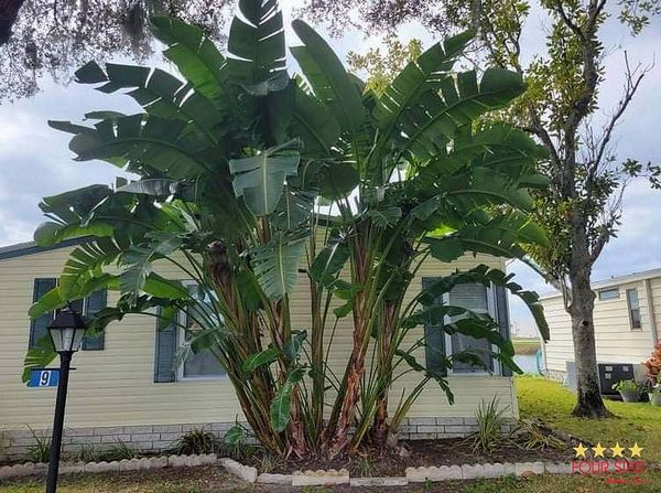 9 Buccaneer Dr, Lot 627, Leesburg FL 34788