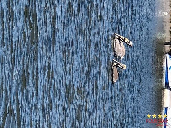 533 Casa Grande, Edgewater FL 32141