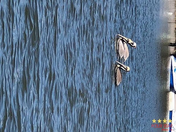 478 Casa Grande, Edgewater FL 32141