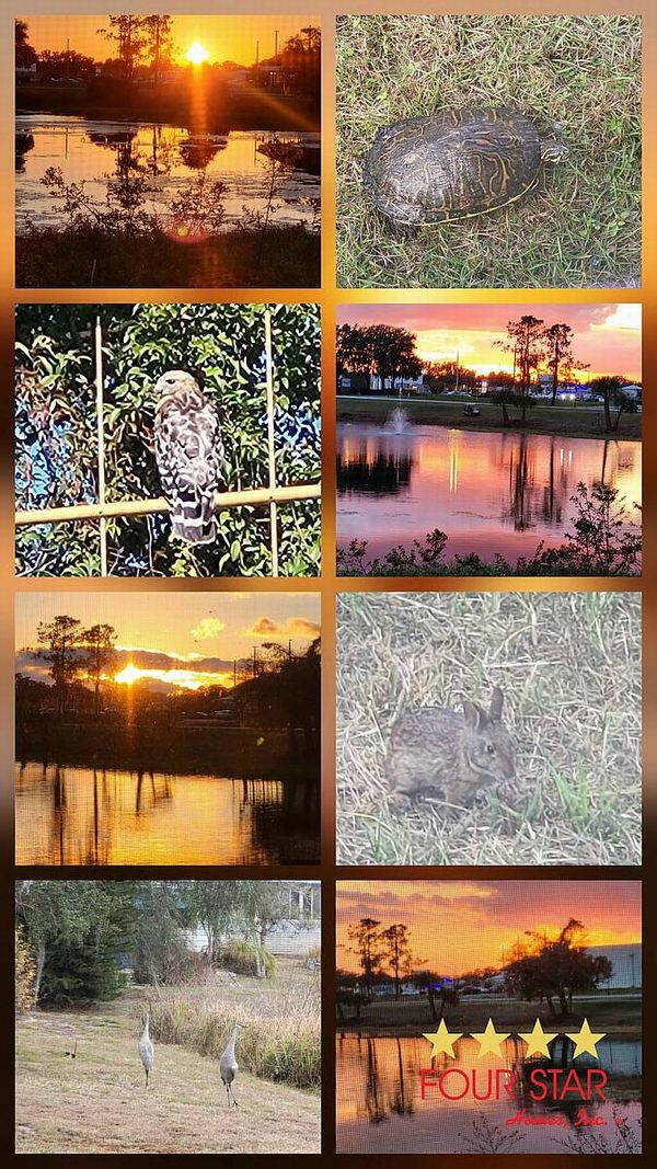 3 Buccaneer Dr, Leesburg FL 34788