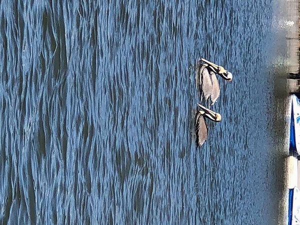 251 Rio Grande, Edgewater FL 32714