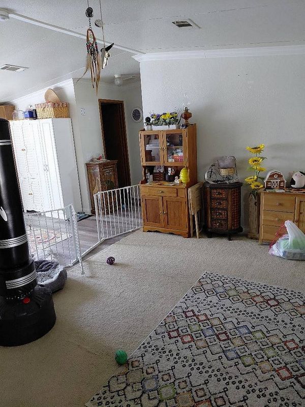 154 W Seaflower St., Lot 372, Apopka FL 32712