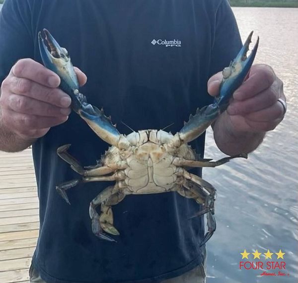 5986 W Bayshore Dr, Lot 7, Port Orange FL 32127