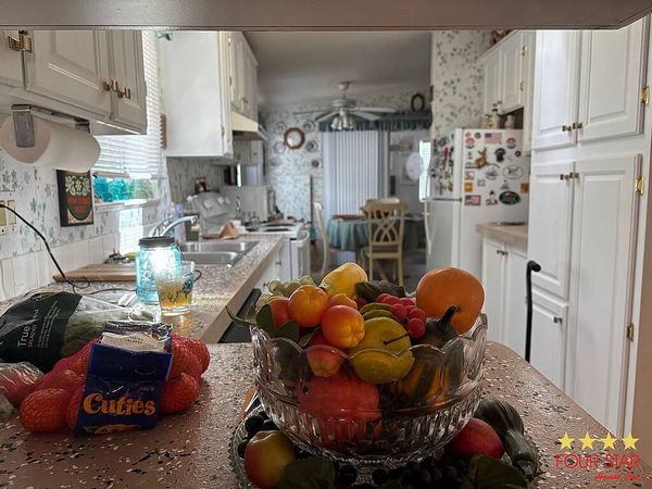 2242 Abbottwood Ln, Orange City FL 32763