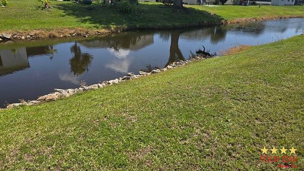 8215 Palm Harbor Way, Lot 1184, Orlando FL 32822