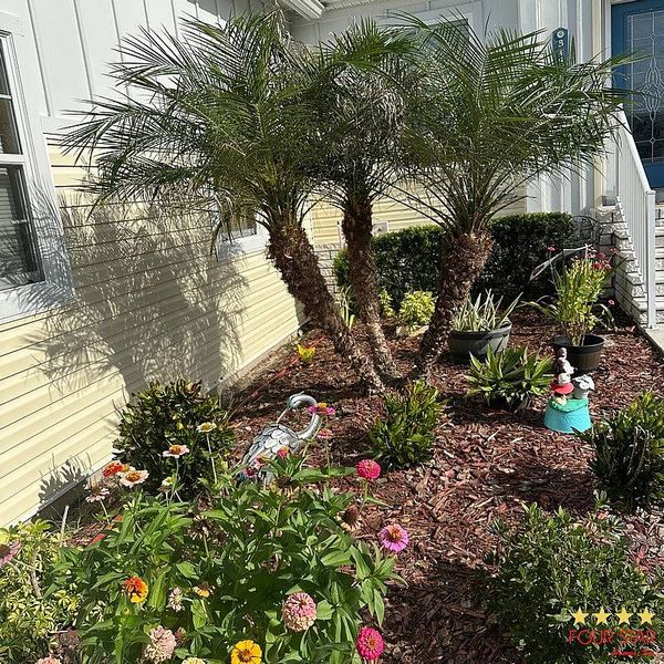 34916 Blue Starling Street, Zephyrhills FL 33541