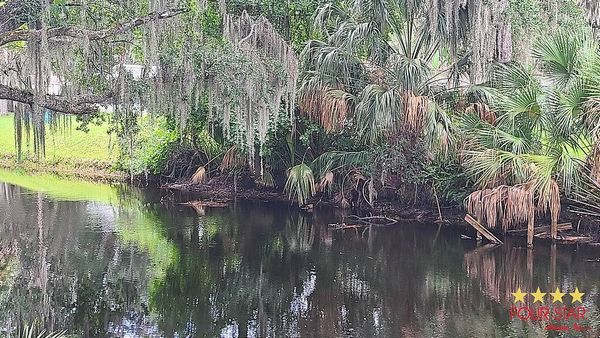 24 Red Fox Ln, Flagler Beach FL 32137