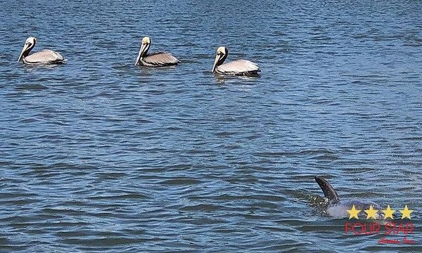 284 Costa Rica, Edgewater FL 32141