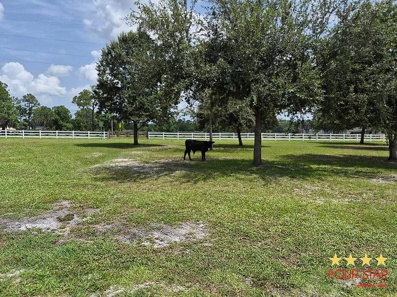 916 Marcy Dr, DeLand FL – photo 21