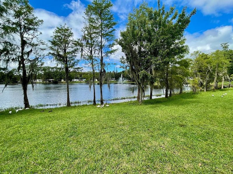950 Savanna Dr, Kissimmee FL – photo 16